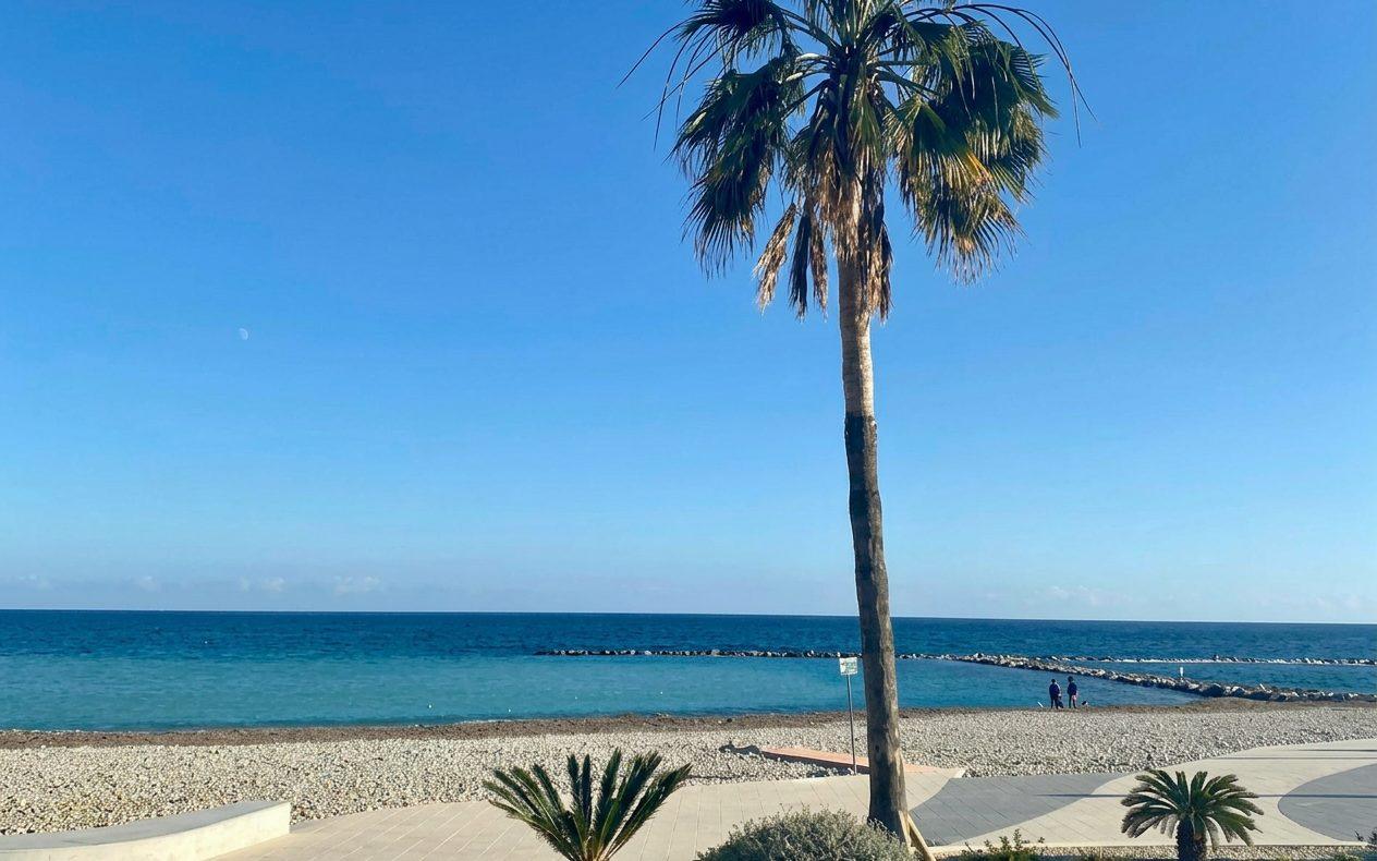 Paseo marítimo con palmeras junto al mar